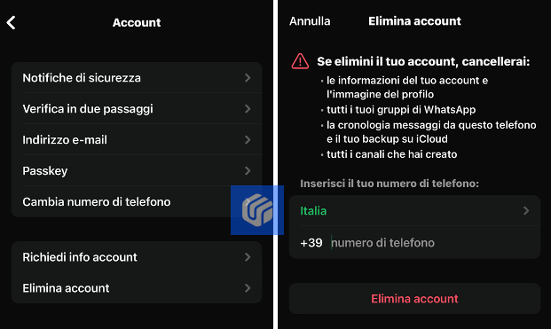 se disinstallo WhatsApp cosa vedono gli altri